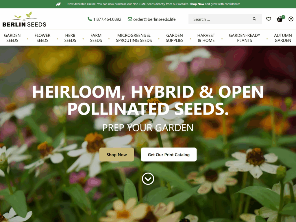 E-Commerce Agency in Embro