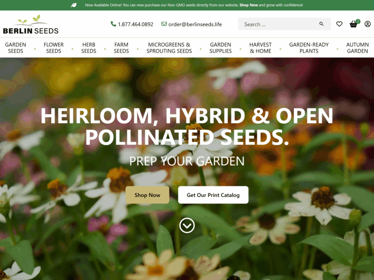 Ingersoll E-Commerce Agency